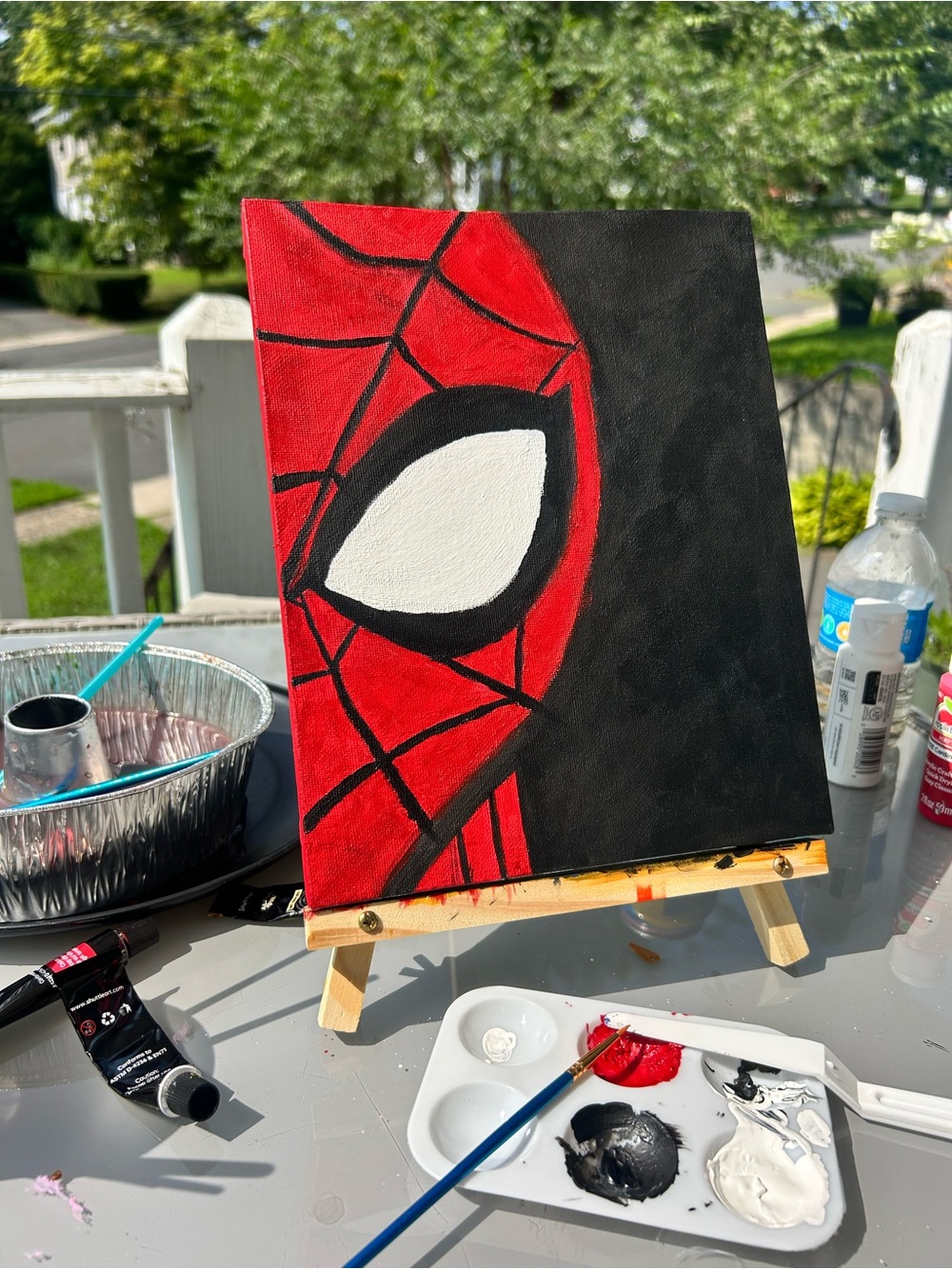 Red and Black Spider Eye Canvas Art by